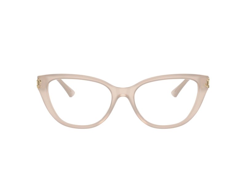 Jimmy Choo Briller JC 3011 5025