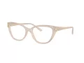 Jimmy Choo Briller JC 3011 5025