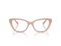 Jimmy Choo Briller JC 3011 5027