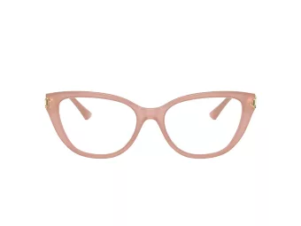 Jimmy Choo Briller JC 3011 5027