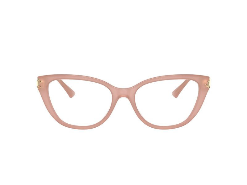 Jimmy Choo Briller JC 3011 5027