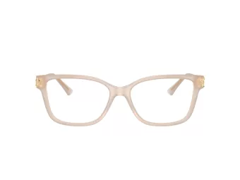 Jimmy Choo Briller JC 3012 5025