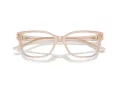 Jimmy Choo Briller JC 3012 5025