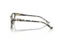 Jimmy Choo Briller JC 3012 5068
