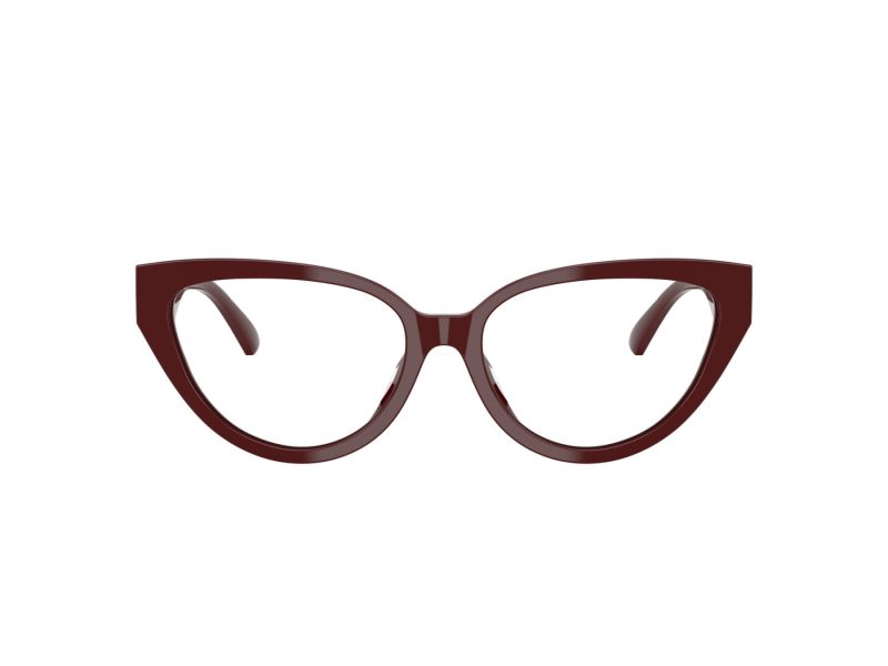 Jimmy Choo Briller JC 3023HU 5057