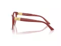 Jimmy Choo Briller JC 3026 5013