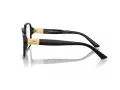 Jimmy Choo Briller JC 3027 5000