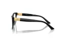 Jimmy Choo Briller JC 3028 5000
