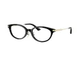 Jimmy Choo Briller JC 3029D 5000