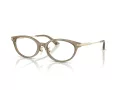 Jimmy Choo Briller JC 3029D 5051