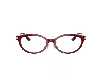 Jimmy Choo Briller JC 3029D 5062