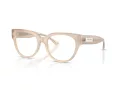 Jimmy Choo Briller JC 3035 5025