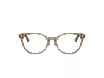 Jimmy Choo Briller JC 3039D 5051