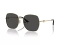 Jimmy Choo Solbriller JC 4008HD 300687