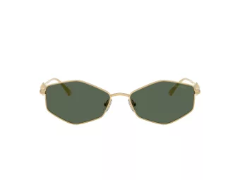 Jimmy Choo Solbriller JC 4017 302371