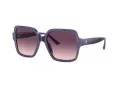 Jimmy Choo Solbriller JC 5005 50447W