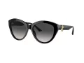 Jimmy Choo Solbriller JC 5007 50008G