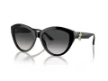 Jimmy Choo Solbriller JC 5007 50008G
