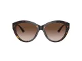 Jimmy Choo Solbriller JC 5007 500213