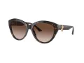 Jimmy Choo Solbriller JC 5007 500213