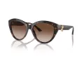 Jimmy Choo Solbriller JC 5007 500213