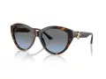 Jimmy Choo Solbriller JC 5007 50028F