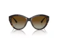 Jimmy Choo Solbriller JC 5007 5002T5