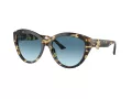 Jimmy Choo Solbriller JC 5007 500419