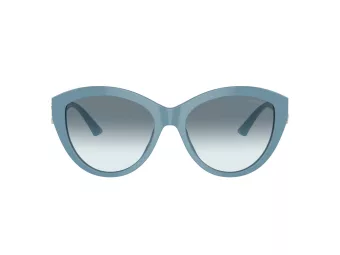 Jimmy Choo Solbriller JC 5007 501219