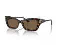 Jimmy Choo Solbriller JC 5011U 500273