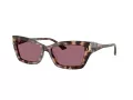 Jimmy Choo Solbriller JC 5011U 50701A
