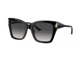 Jimmy Choo Solbriller JC 5012 50008G