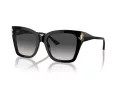 Jimmy Choo Solbriller JC 5012 50008G