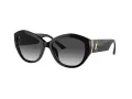 Jimmy Choo Solbriller JC 5013U 50008G