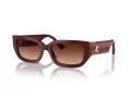 Jimmy Choo Solbriller JC 5017 50135M