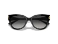 Jimmy Choo Solbriller JC 5018U 50008G