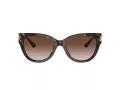 Jimmy Choo Solbriller JC 5018U 500213