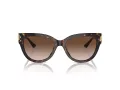 Jimmy Choo Solbriller JC 5018U 500213