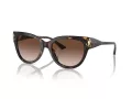 Jimmy Choo Solbriller JC 5018U 500213