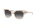 Jimmy Choo Solbriller JC 5018U 50258G