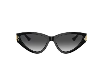 Jimmy Choo Solbriller JC 5019 50008G