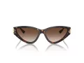 Jimmy Choo Solbriller JC 5019 500213