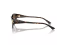 Jimmy Choo Solbriller JC 5019 500213