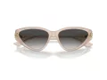 Jimmy Choo Solbriller JC 5019 50258G