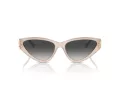 Jimmy Choo Solbriller JC 5019 50258G