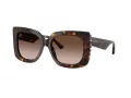 Jimmy Choo Solbriller JC 5025H 500213