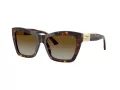 Jimmy Choo Solbriller JC 5031 5002T5
