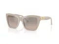 Jimmy Choo Solbriller JC 5031 50336I