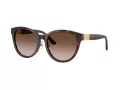Jimmy Choo Solbriller JC 5032D 50028G