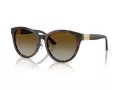 Jimmy Choo Solbriller JC 5032D 5002T5